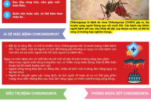 CHIKUNGUNYA – BỆNH TRUYỀN NHIỄM NGUY HIỂM TỪ MUỖI AEDES