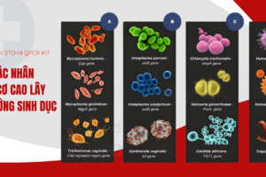 14 TÁC NHÂN GÂY BỆNH LÂY TRUYỀN QUA ĐƯỜNG TÌNH DỤC (STD-14)