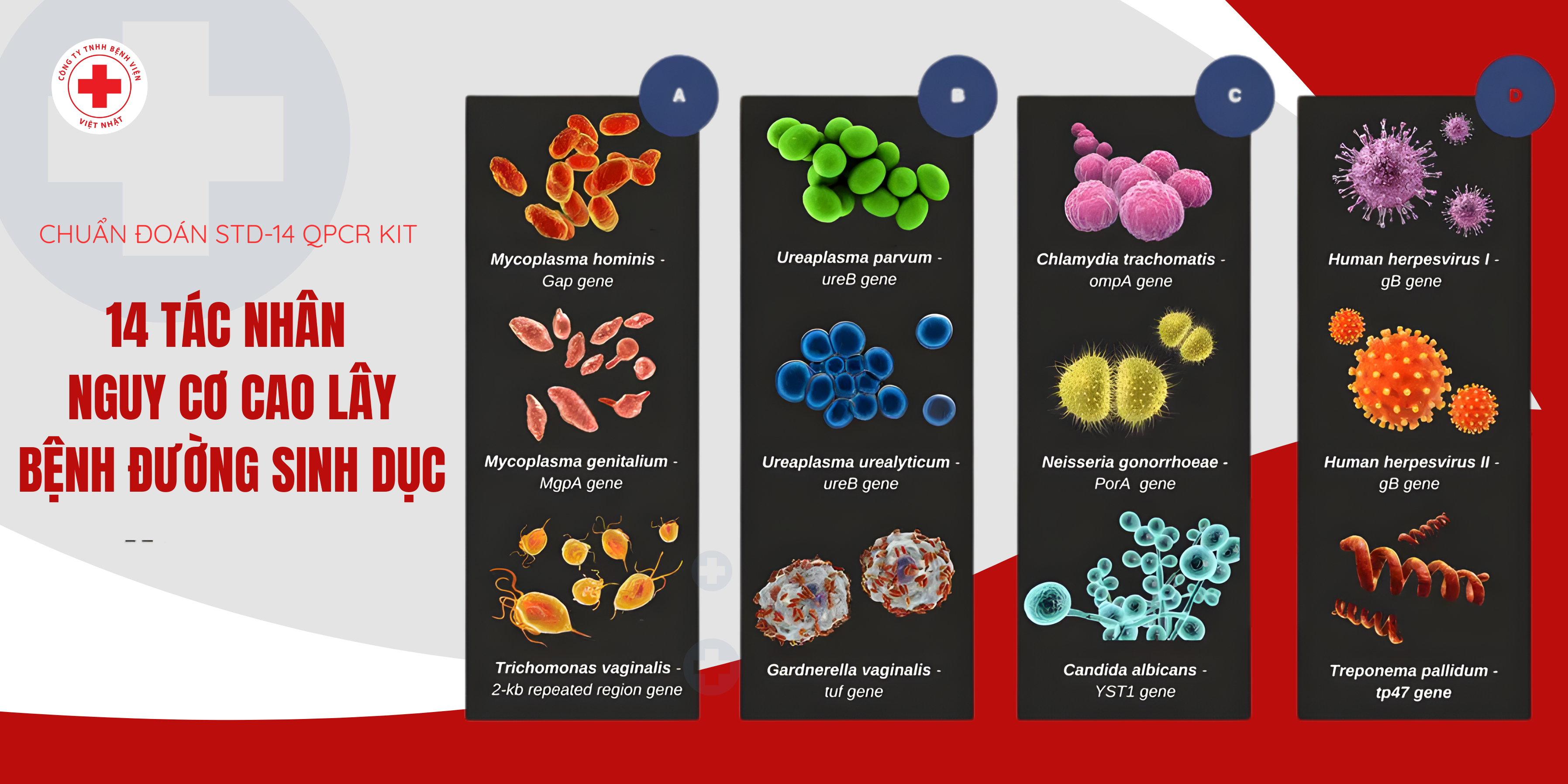 14 TÁC NHÂN GÂY BỆNH LÂY TRUYỀN QUA ĐƯỜNG TÌNH DỤC (STD-14)