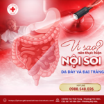 VÌ SAO NÊN NỘI SOI DẠ DÀY VÀ ĐẠI TRÀNG CÙNG LÚC?
